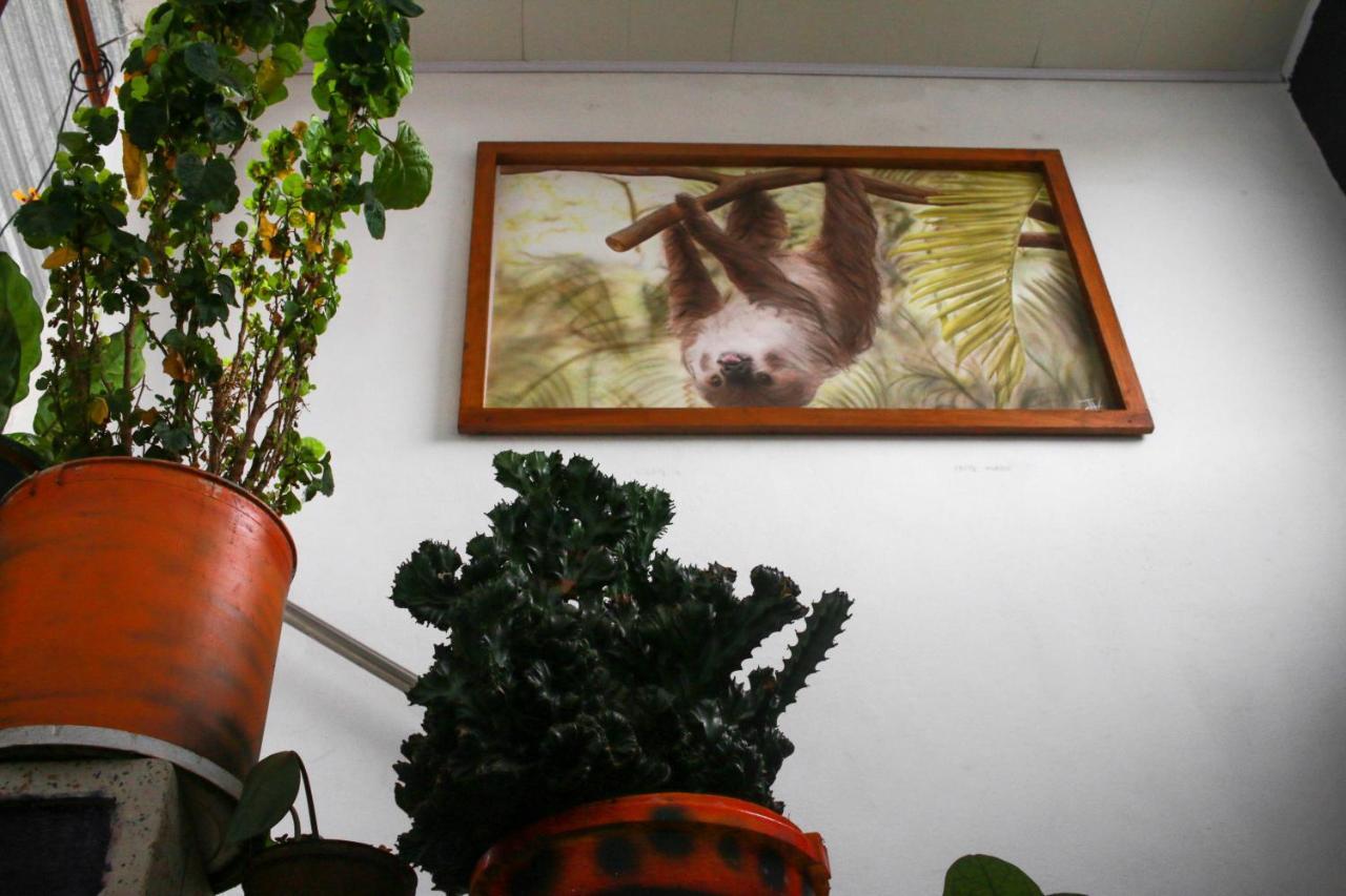Casa Pacha Ξενοδοχείο Guaduas Εξωτερικό φωτογραφία